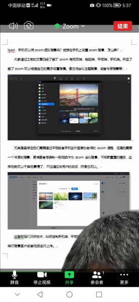 电脑上怎么弄虚拟背景(Ipad,手机可以用zoom虚拟背景吗,手机上设置zoom背景,怎么弄?)