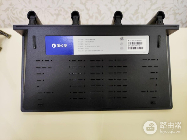 智能组网路由器(双频在线，功能全面，蒲公英X3A路由器轻松智能组网)