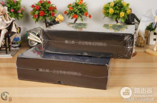 路由器如何实现异地组网(异地组网超简单,再远也变局域网!蒲公英路由器体验)