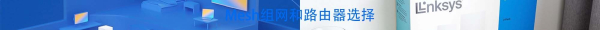 无线mesh 组网路由器(最省心的无线网络全覆盖方案?新手也能搞定WiFi6路由器Mesh组网)