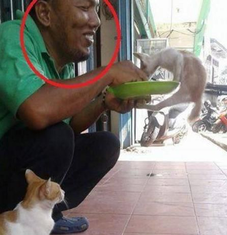 路由器不连线组网(大叔家路由器无法上网,买只猫咪用来连线,大叔:猫不管用啊!)