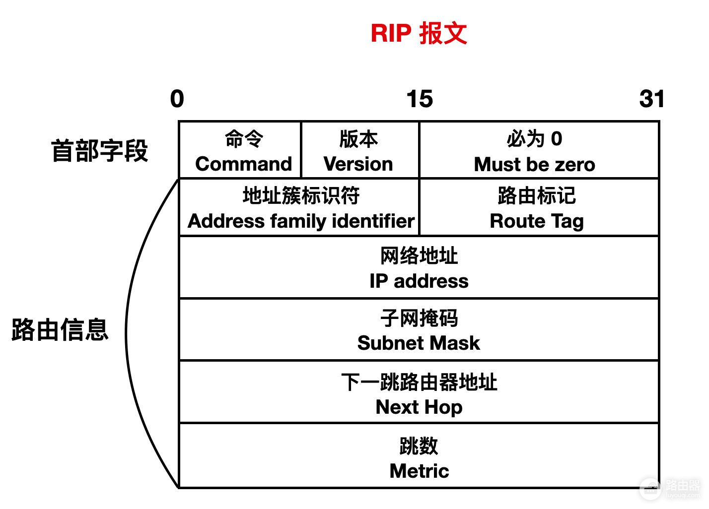 路由器组网运用什么协议(图解路由协议)