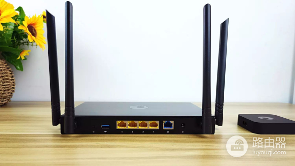 远程办公利器,蒲公英X1+X5路由器组合,低成本搭建全场景NAS服务