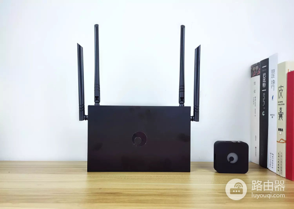 远程办公利器,蒲公英X1+X5路由器组合,低成本搭建全场景NAS服务