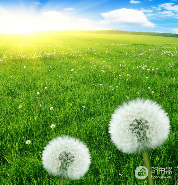 带USB功能的路由器不能闲着