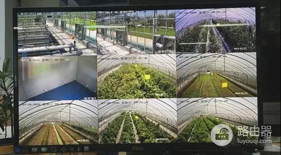 168元的4G路由器真实价值多少?蒲公英4G路由器X4C测评