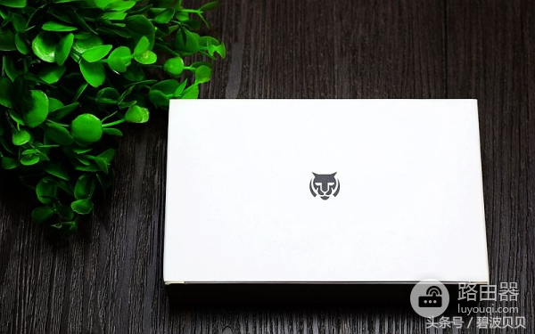 你负责红包打赏，我负责你无忧上网——必虎路由器mini评测