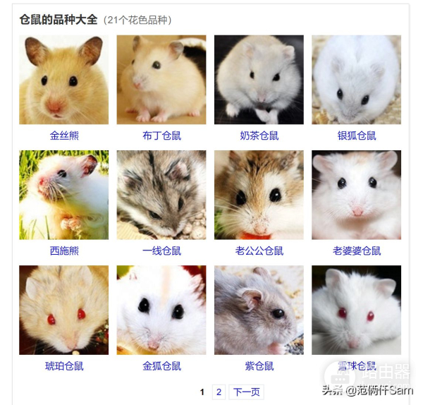 记仓鼠风扇房改造(路由器散热也可以这样用)