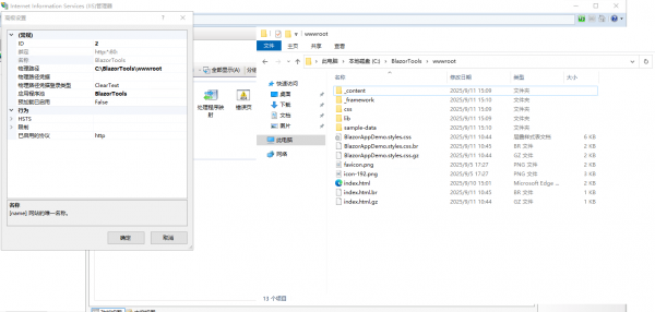 web deploy发布blazor报错：IIS物理路径嵌套wwwroot解决方法