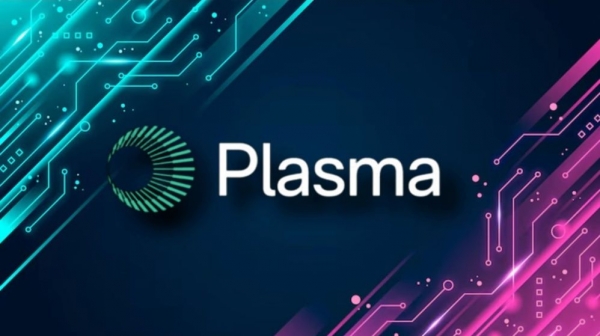 Plasma区块链是什么？专注稳定币支付的Layer 1项目完整解析