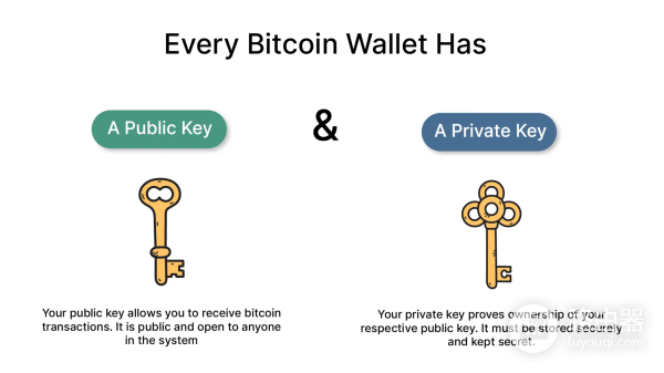 比特币钱包是什么？钱包运作原理事什么？