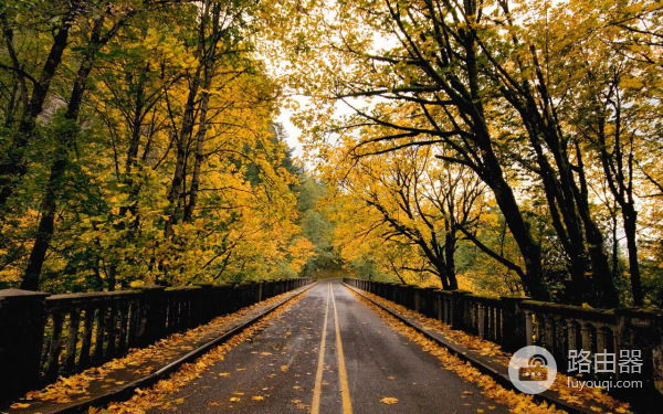 换新手机能恢复微信聊天记录吗
