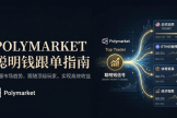 Polymarket聪明钱跟单指南：如何识别并跟随真正的高胜率玩家（附分析网址）