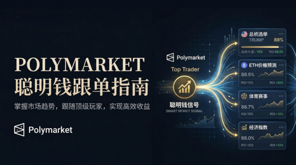Polymarket聪明钱跟单指南：如何识别并跟随真正的高胜率玩家（附分析网址）