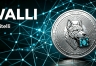 Wallitelli是什么?WALLI把链上分析做成了日常快照