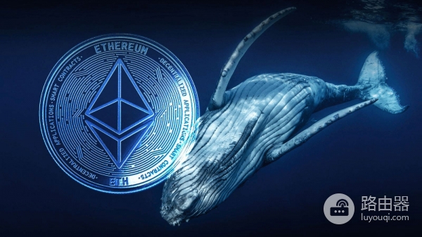 链上追踪！如何发现加密货币巨鲸？巨鲸行动解析器工具介绍