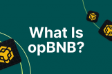 opBNB Layer2新手指南：低Gas费特点 、添加网络 、 官方Bridge操作完