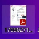 pdf图标变成缩略图怎么办？windows恢复默认pdf图标教程