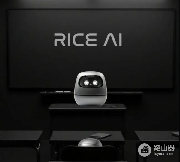 RICE币是什么?RICE币值得关注吗?
