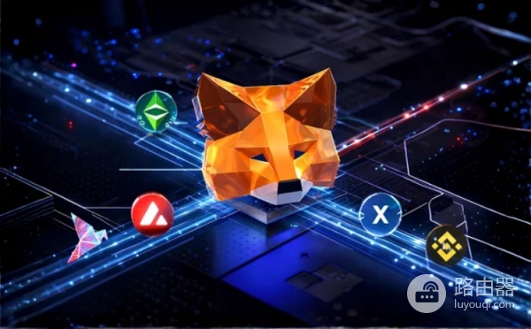 MetaMask如何添加网络？MetaMask自定义网络添加方法解析