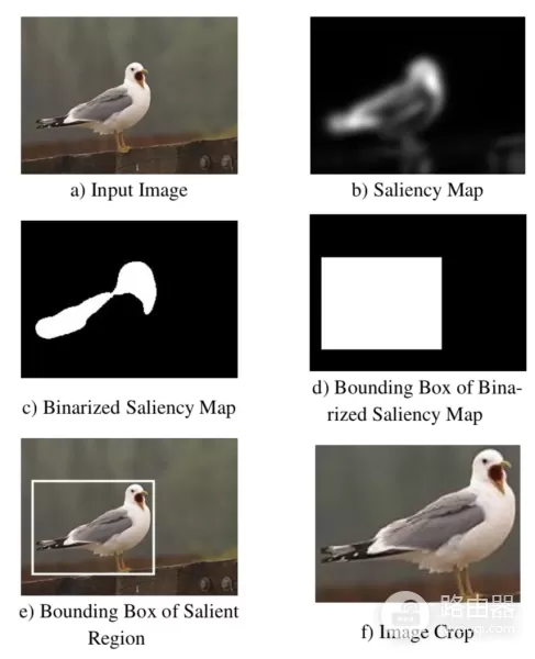 计算机如何学会自动裁剪图片(如何在电脑上裁剪图片)