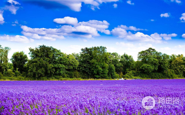 旧手机烂了里面照片怎么找回