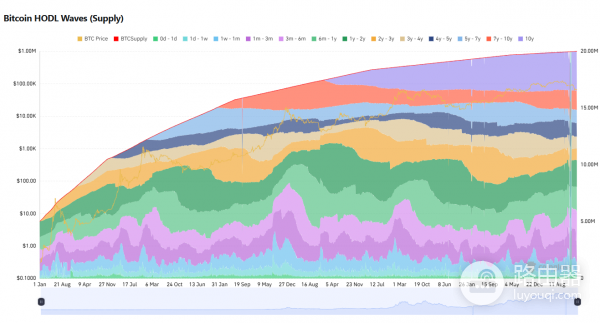 长期持有者行为（HODL Waves）是什么？判断是捡筹码还是接盘侠