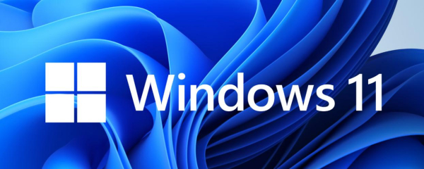 Win1122H2重置后没有应用商店解决方法是什么