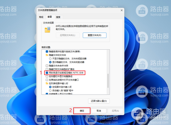 如何在Windows11中显示加密或压缩文件名的颜色