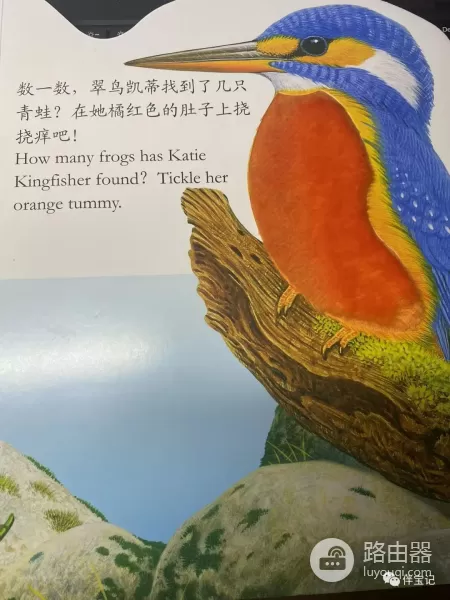 电脑为什么打湿（酒精擦拭）了会变黑呢？