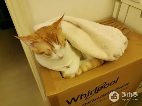 家里有人沉迷电脑(沉迷于电脑)