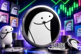 FLORK币值得关注吗？从网络梗到Meme币，FLORK爆火原因解析