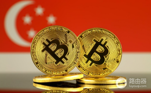 加密大佬的双重国籍“护身符”有哪些可操作的选项？