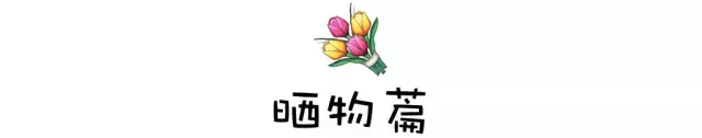 ins风照片要怎么拍(电脑如何ins拍照)