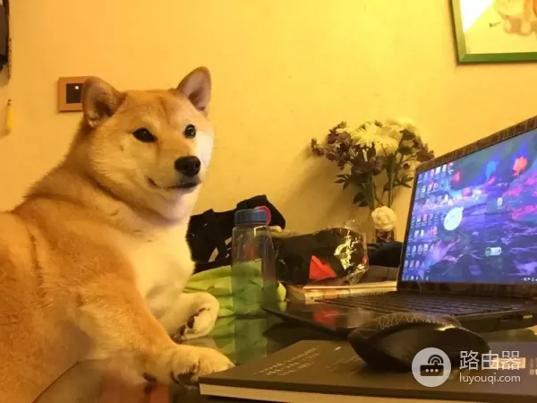 网上大神晒的电脑桌面搭配(网上大神晒的电脑桌面搭配什么)