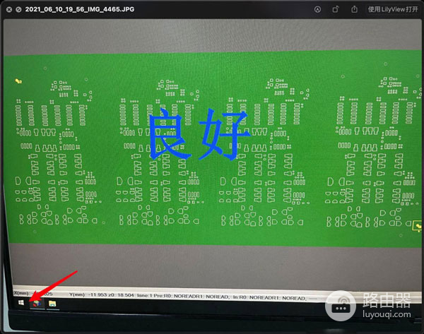 Win11复制网络属性方法