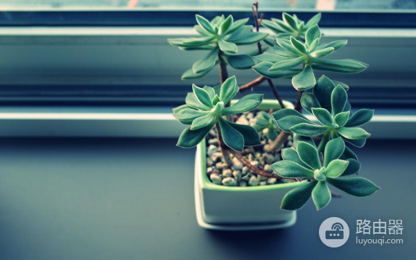 华为保密柜数据怎么恢复