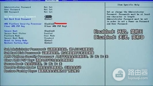 如何升级Pro5代的Win11系统的使用指南