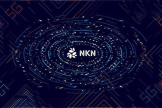 什么是NKN币？它如何改变互联网生态？