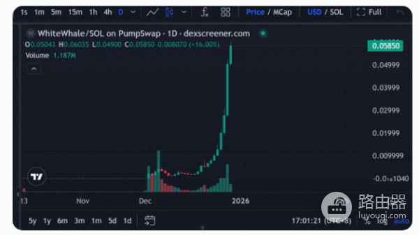 White Whale是什么币? 为何会在短期内暴涨500倍?