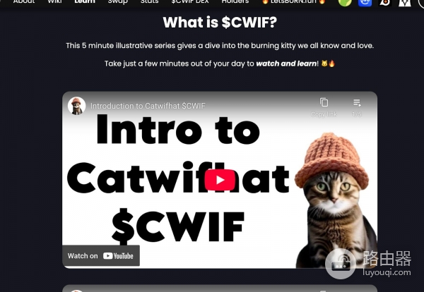 Catwifhat（CWIF）币的核心看点？ 迷因加通缩Solana上那只猫
