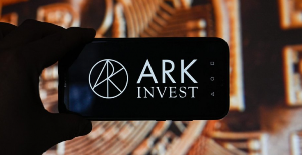 ARK区块链是什么？TypeScript开发环境与自定义链一键部署