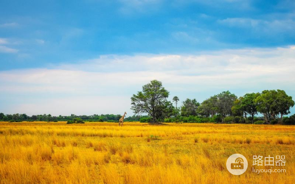 如何解决u盘里面的照片损坏了的问题