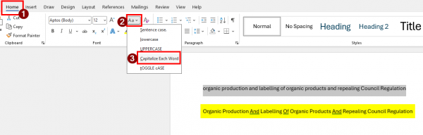 word英文标题自动转换大小写：实词虚词一键处理教程