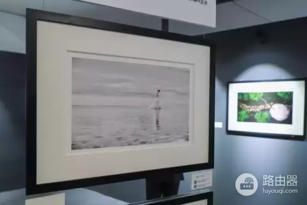 看完佳能的这场影展,又让我有了打印照片的冲动