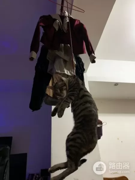 家里有人沉迷电脑(沉迷于电脑)