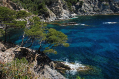 小米私密相册移出后显示损坏恢复方式是什么