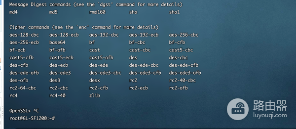 国产CPU路由器来袭!GL.iNet GL-SF1200简测,未来可期