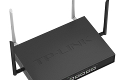 tp企业级路由器怎么设置lan口地址（tp企业级路由器设置lan口地址方法）