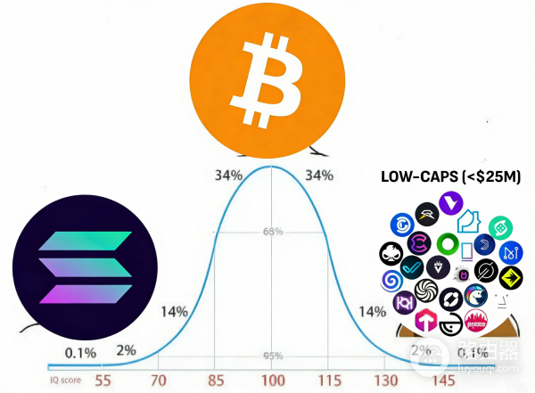 长尾币是什么？加密市场的探索者“小众明星”